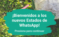 Todo lo que necesitas saber sobre la nueva actualización de Whatsapp