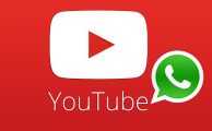 YouTube WhatsApp