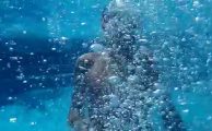 Tres trucos para sacarte fotos debajo del agua