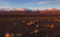 Estos son los ganadores de los iPhone Photography Awards 2017
