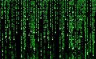 Día del internauta: consejos para navegar con seguridad en Internet