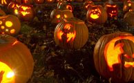 Fondos de pantalla y tonos de llamada para Halloween