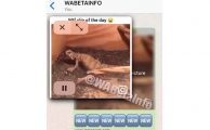 WhatsApp PiP