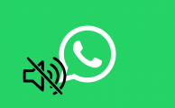 WhatsApp_Logo_2