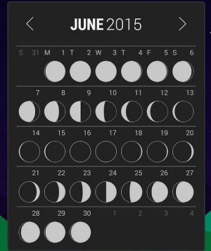 Month calendar widget