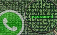 whatsapp-seguridad