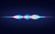 SIRI-1