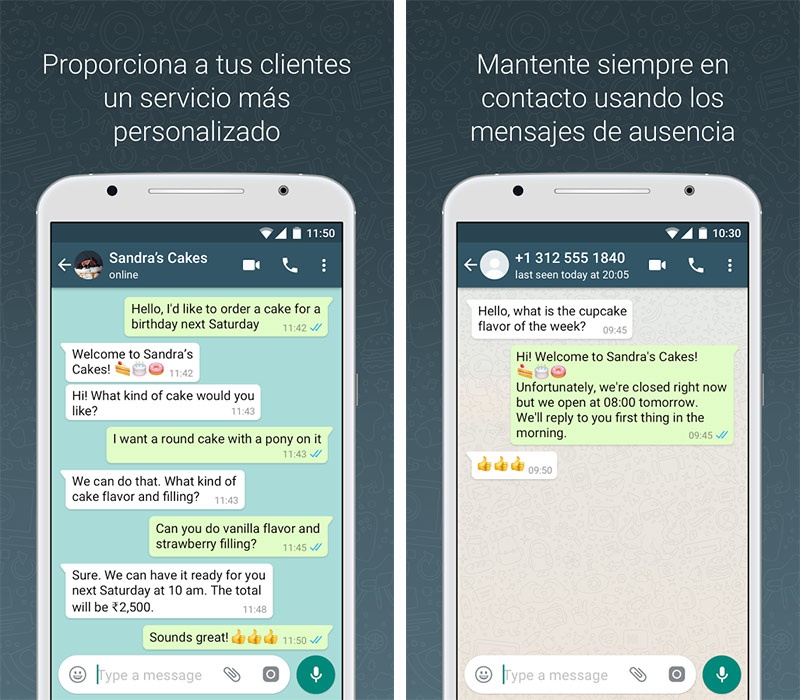 WhatsApp-Business-herramientas