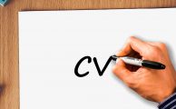 crear un curriculum