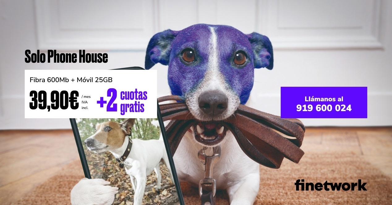 Imagen Perro Y Tarifas